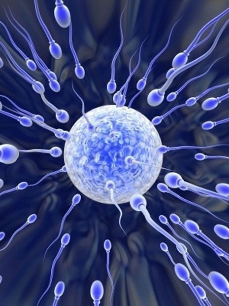 Man's Sperm -Pakistan's best Homeopathic sexologyst-Dr. Qaisar Ahmed-Al-Haytham clinic-Risalpur