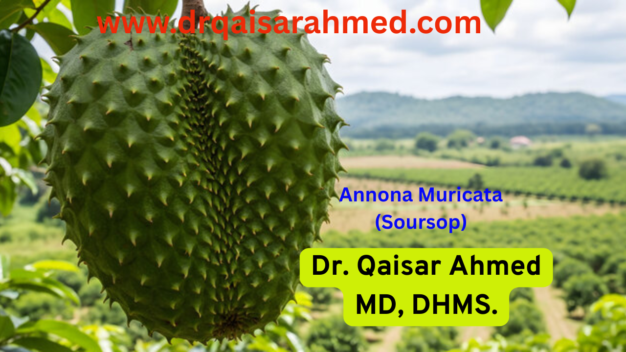 Annona-Muricata-Soursop | Homeopathic | Best Homeopathic Doctor in Pakistan | Dr Qaisar Ahmed MD, DHMS