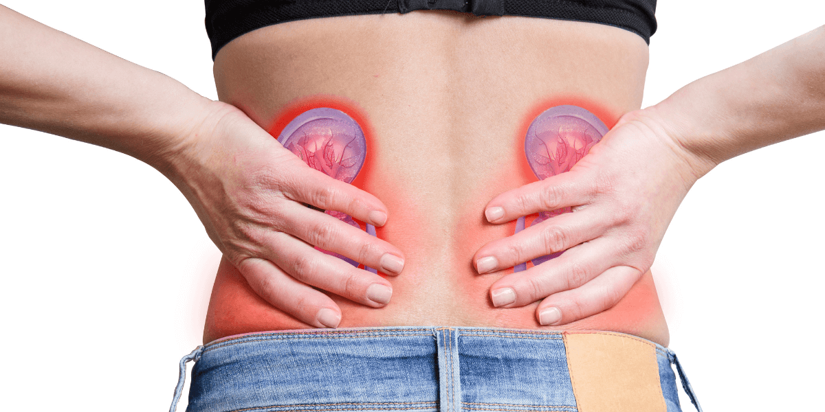 Kidney Diseases | Homeopathic | Best Homeopathic Doctor in Pakistan | Dr Qaisar Ahmed MD, DHMS